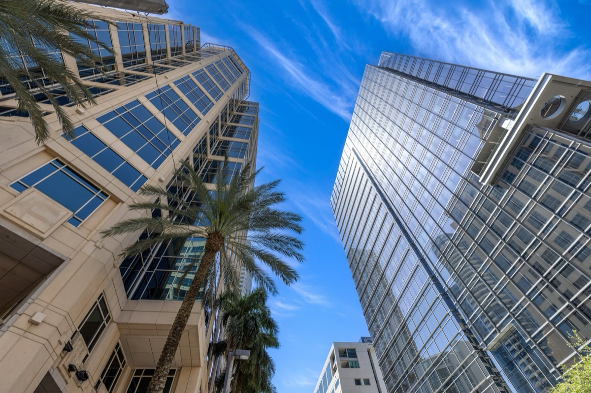 Palm trees and glass towers along the Las Olas financial district